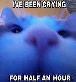 Image result for Sad Cat Meme