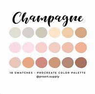 Image result for Midnight Champagne Pallet E