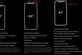 Image result for iPhone Xr vs XS Dimensions