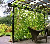 Image result for Trellis with Vines