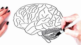 Image result for Creative Brain Drawing