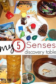 Image result for 5 Senses Science Preschool