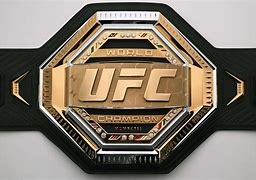 Image result for UFC World Champion Belt