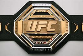 Image result for UFC Belt Logo