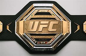 Image result for UFC Championship Belt