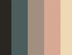 Image result for Signia Dark Champagne Color