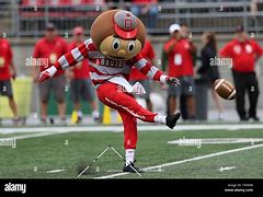 Image result for Ohio State Football Mascot Brutus