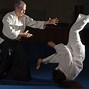 Image result for Japan Aikido