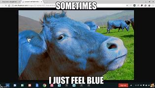 Image result for Feeling Blue Just Rotate Meme