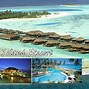 Image result for Paradise Island Maldives