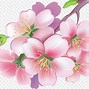 Image result for Apple Flower PNG