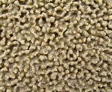 Image result for Bumpy Sand Texture
