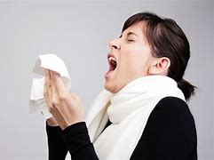Image result for estornudar