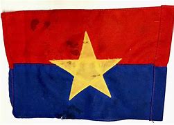 Image result for Viet Cong Flag