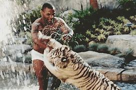 Image result for Mike Tyson with Tiger