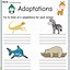 Image result for Animal Adaptations Worksheet 2nd Grade
