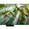 Image result for Samsung TV 2020