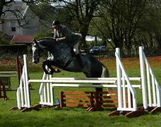 Image result for Horse Jumping Background