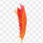 Image result for Red Feather Drawing