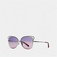 Image result for Coach Sunglasses with Butterfly On Side