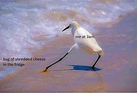 Image result for Shredded Cheese From the Bag Meme