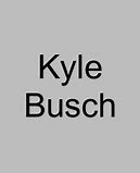 Image result for Kyle Busch 3 Car