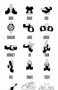 Image result for Easy Jutsu Hand Signs
