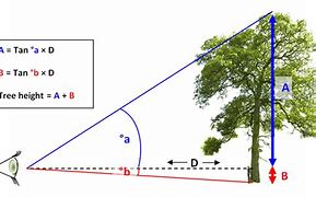 Image result for 2 Meters High