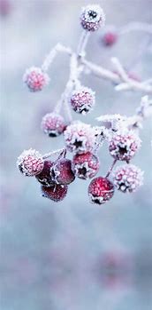 Image result for Preppy Winter Wallpapers