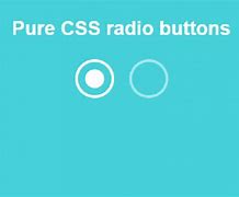 Image result for Custom Radio Button