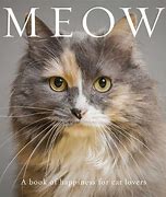Image result for Meow Book