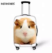 Image result for Guinea Pig Suitcase