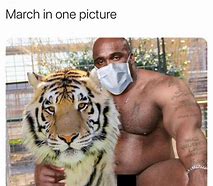 Image result for Tiger 3 Meme