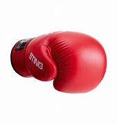 Image result for Boxing Glove Punch