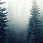 Image result for 4K Nature Desktop Wallpapers Fog