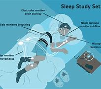 Image result for Sleep and the Brain