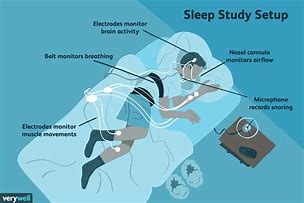 Image result for Sleep and Memory Consolidation