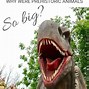 Image result for Largest Animal That Ever Lived On Earth