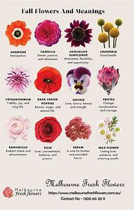 Image result for 8 flower meanings