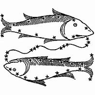 Image result for What Do Pisces Look Like
