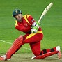 Image result for Cricket Toes