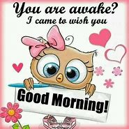Image result for Funny Good Morning Owls