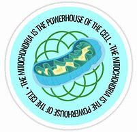 Image result for Solar Cell Image for Sticker