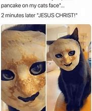 Image result for Grinning Cat Meme