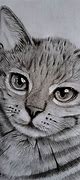 Image result for Cardboard Drawing Cat's Head