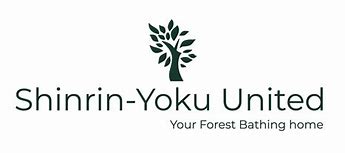 Image result for yoku stock