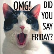 Image result for It's Friday Cat Meme