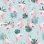 Image result for Aesthetic Flamingo Wallpaper