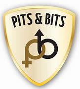 Image result for Pits and Bits Logo