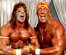 Image result for WWF Wrestling Figures 80s